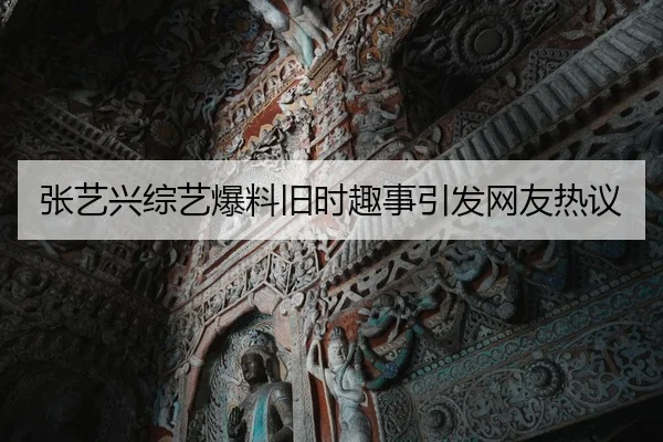 zhang-yi-xing-zong-yi-bao-liao-jiu-shi-qu-shi-yin-fa-wang-you-re-yi-1-416.jpg