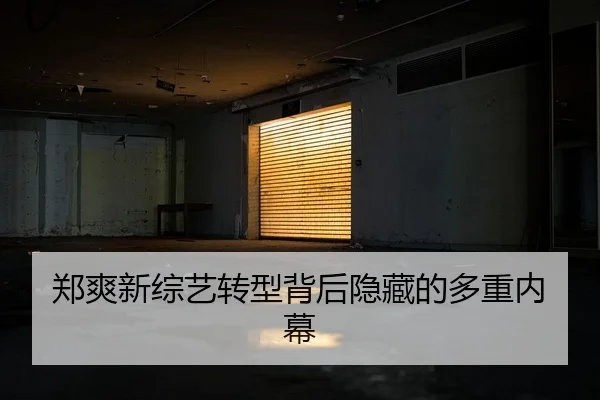 zheng-shuang-xin-zong-yi-zhuan-xing-bei-hou-yin-cang-de-duo-zhong-nei-mu-1-285.jpg